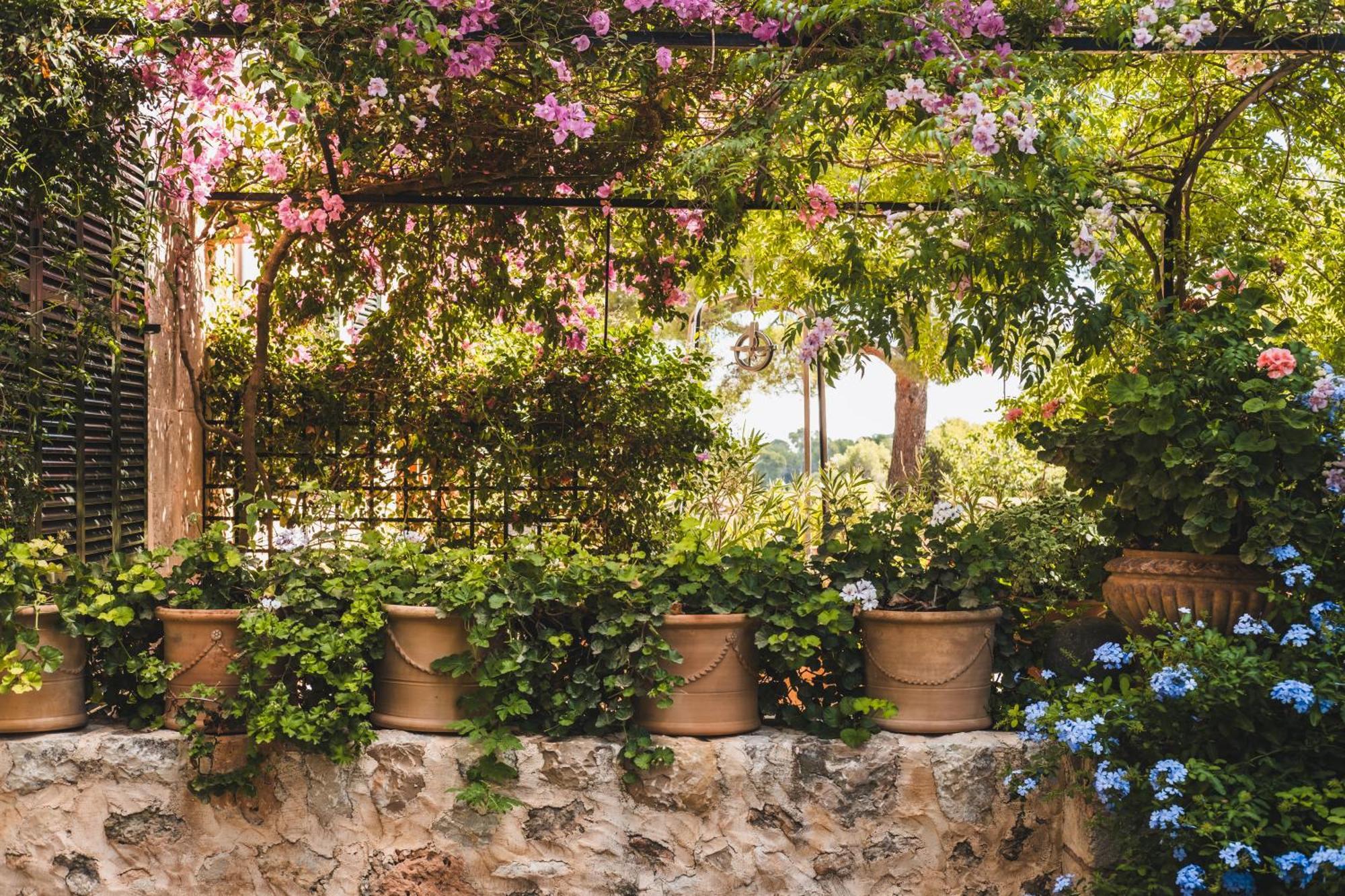Oliver Moragues Grandhouse & Vineyard Algaida  Buitenkant foto